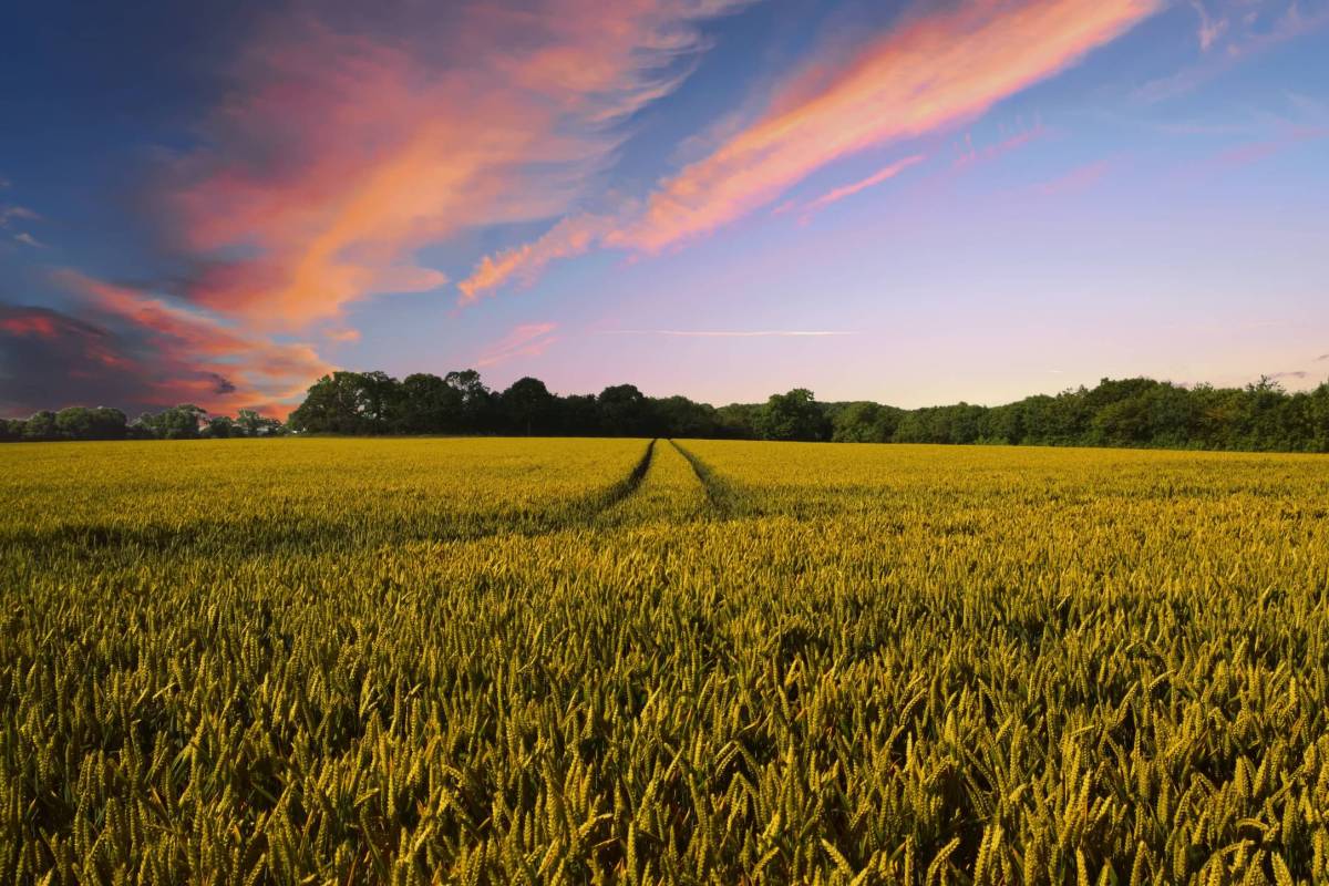 thedigitalartist-countryside-2326787